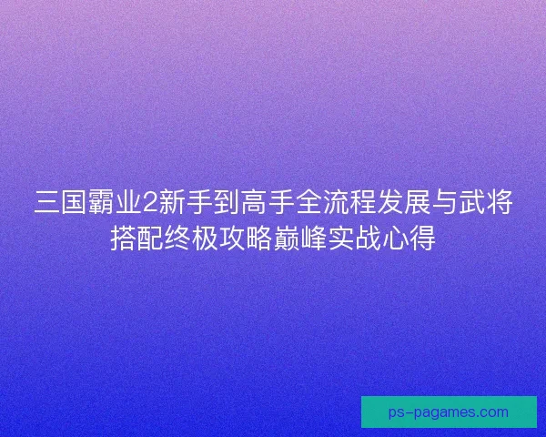三国霸业2新手到高手全流程发展与武将搭配终极攻略巅峰实战心得